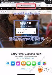 国际服最新手册爆料,揭秘游戏新内容与更新亮点  第2张